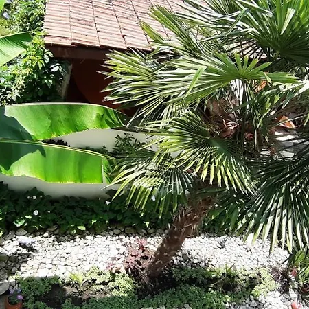 Laguna Pensión