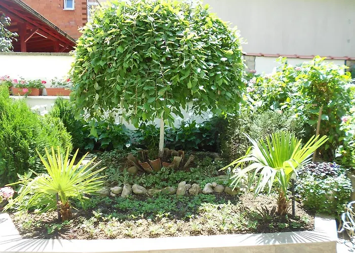 Laguna بيت ضيافة كيتن